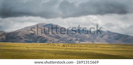 A panoramic view of a field and mountains in the background on a cloudy day