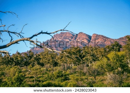 Panoramic View of Flinders Range in South Australia