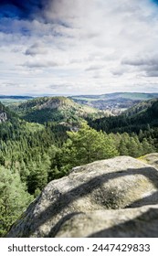 A Panoramic View of a Forest From an Elevated Perspective