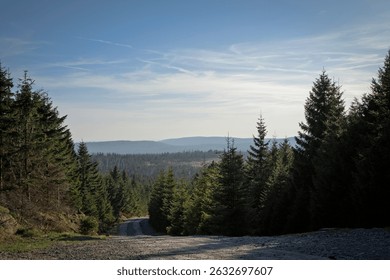 Panoramic view of a forest with mountains in the background under a clear sky Harz, Germany