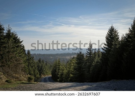 Panoramic view of a forest with mountains in the background under a clear sky Harz, Germany