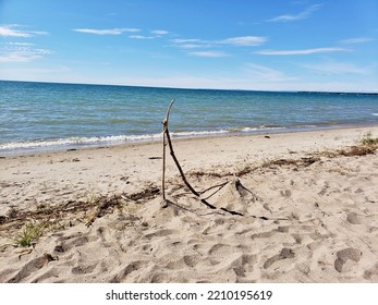 are dogs allowed in wasaga beach ontario