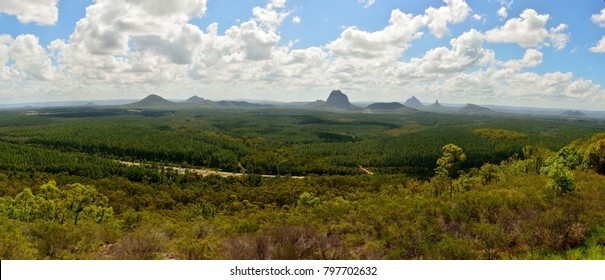 Panoramic view of Glass House Mountains (including Tibberoowuccum, Tibrogargan, Cooee, Beerwah, Coonowrin and Ngungun) across pine forest in Queensland, Australia.