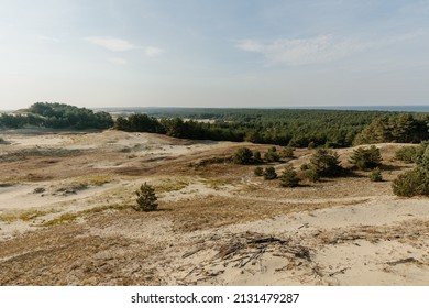 Panoramic view of the golden sand dunes of the Curonian Spit. The coastline of the Baltic Sea, forest belt, shrubs and grass on sand dunes.