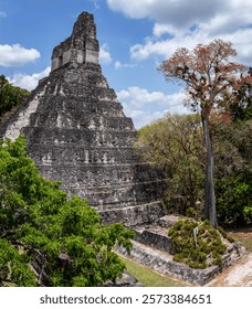 A panoramic view of the Gran Jaguar Temple in Tikal National Park in Guatemala. 