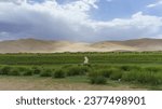 Panoramic view of grass and wood bridge on wetland against grassland sand dunes at Khongoliin els, Gobi Desert, Mongolia
