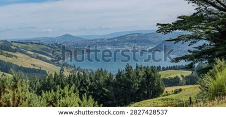 A panoramic view from a grassy hillside on the Otago Peninsula near Highcliff Road, close to Dunedin on New Zealand's South Island. A war memorial obelisk stands on a rocky outcrop in the foreground, overlooking rolling green farmland and gorse covered slopes that lead down to the calm waters of Otago Harbour. On the far shore, the city of Dunedin spreads across the hillsides, with its suburbs, port facilities and surrounding hills visible under a partly cloudy sky. The combination of open countryside, a historic monument and a sweeping harbour city view captures one of the classic scenic outlooks of the Otago Peninsula.