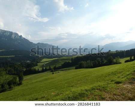Panoramic View of Green Alpine Meadows and Zahmer Kaiser Mountains in Austria