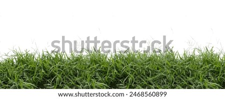 The panoramic view of the green grass is separated from the white background with cutting routes.