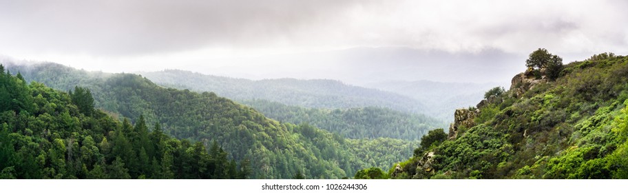 Panoramic View Of The Green Hills And Valleys Of Santa Cruz Mountains On A Foggy Day, Castle Rock State Park, San Francisco Bay Area, California