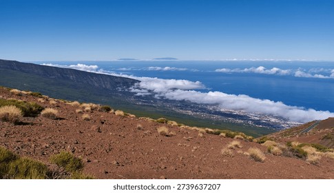 Panoramic view from high elevation above Teide National Park looking down over Puerto de la Cruz, pine forest, and the Atlantic Ocean with a band of clouds on the horizon
