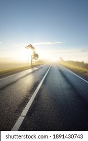 Panoramic view of the highway (new asphalt road) through the country agricultural field and forest in a fog at sunrise. Pure golden light, clear sky. Transportation, vacations, driving, freedom themes