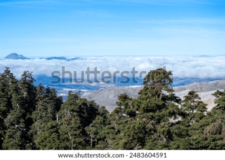 Similar – Image, Stock Photo Malaga, Spain. Elevated View, Cityscape View Of Malaga, Spain. Old Fort Walls And Residential Houses