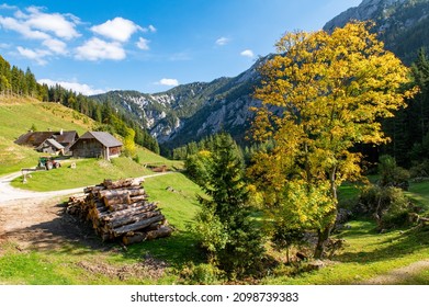 Panoramic View Of Hochschwab Mountain Village Hainzleralm, Autumn Vibes In Mountain Range Hochschwab, Styria, Austrian Alps, Austria, Europe.  With No People. Freedom And Wilderness. Golden Slopes.