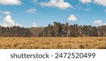 Panoramic view of the Huayllay Stone Forest, rocks eroded by the wind over the years creating stone figures. Pasco. Peru.