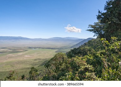 Panoramic view of huge Ngorongoro caldera (extinct volcano crater). Tanzania, East Africa. 
