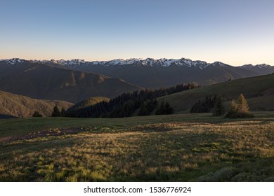 Panoramic View of Hurricane Ridge, mountainous area in Olympic National Park, Washington. Pacific Northwest Mountains, Protected National Forest Area, Scenic Mountain View, Ridges and Peaks - Shutterstock ID 1536776924