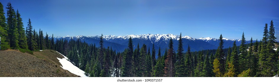 Panoramic view of Hurricane Ridge and Olympic Mountain Range 