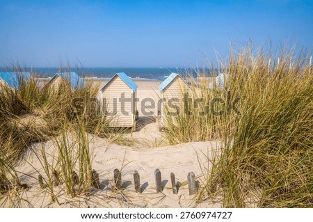 Panoramic view of the iconic beach cabins with blue roofs in Bredene. The huts are nestled in golden sand dunes with marram grass and a wooden fence under a clear sky and the North Sea on the horizon. Belgian coastal landscape.