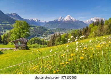 27,547 Bavaria flowers Images, Stock Photos & Vectors | Shutterstock