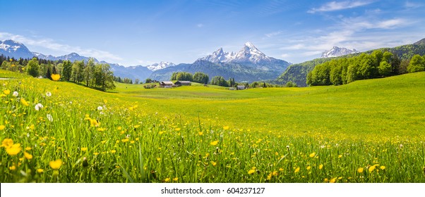 Панорамный вид на идиллические горные пейзажи в Альпах со свежими зелеными лугами, цветущими в прекрасный солнечный весенний день, Национальный парк Берхтесгаденер-Ланд, Бавария, Германия