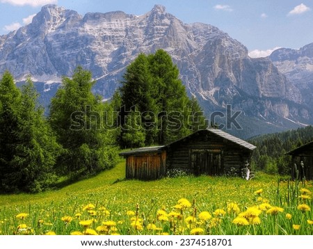 Panoramic view of idyllic mountain scenery in the Alps with fresh green meadows. wonderful springtime landscape in mountains. grassy field and rolling hills. rural scenery