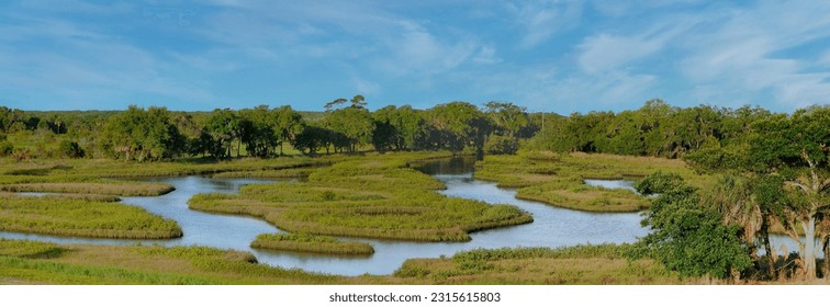 A panoramic view of the intertidal coastal habitat of Cockroach Bay Nature Preserve in Hillsborough County Florida, a coastal ecosystem restoration along Tampa Bay.   - Shutterstock ID 2315615803