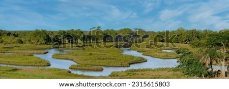 A panoramic view of the intertidal coastal habitat of Cockroach Bay Nature Preserve in Hillsborough County Florida, a coastal ecosystem restoration along Tampa Bay.  