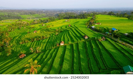 Panoramic view of Jatiluwih Rice Terraces in Bali, Indonesia. Top aerial drone view of green rice fields - Powered by Shutterstock