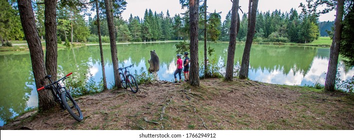 A panoramic view of Lake Bloke surrounded with trees reflecting on the lake - Shutterstock ID 1766294912