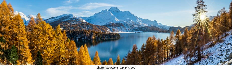 Panoramic view of Lake Sils in Switzerland during golden autumn season.