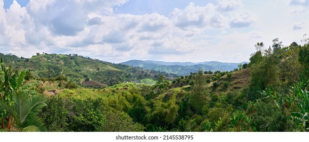 Panoramic View Of Landscape From A High Mountain Against A Beautiful Background Of A Coffee And Bamboo Farm With Its Country House. Colombian Coffee Axis