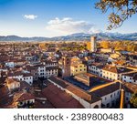 Panoramic view of Lucca medieval town with typical terracotta tiled roofs and narrow streets, Tuscany, Italy
