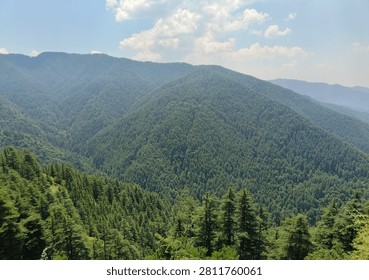 A panoramic view of a lush, dense green mountain range covered in trees under a clear, bright sky.