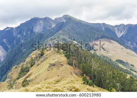 Panoramic View of The Main Peak of Xue Mountain (Snow mountain) From The East Peak of Xue Mountain , Shei-Pa National Park, Taiwan