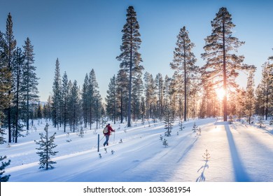 Panoramic View Of Man Cross-country Skiing On A Track In Beautiful Nordic Winter Wonderland Scenery In Scandinavia With Scenic Evening Light At Sunset In Winter, Northern Europe