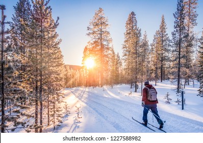 Panoramic View Of Man Cross-country Skiing On A Track In Beautiful Winter Wonderland Scenery In Scandinavia With Scenic Evening Light At Sunset In Winter, Northern Europe