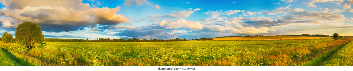Panoramic view of a meadow at sunset. Rural landscape. Panorama