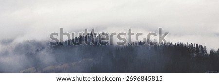 A panoramic view of a mist-covered pine forest on a mountain ridge beneath an overcast sky. Ideal for nature, tranquility, wilderness, and atmospheric landscape themes. 