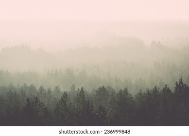 Panoramic View Of Misty Forest. Far Horizon. - Retro, Vintage Style Look