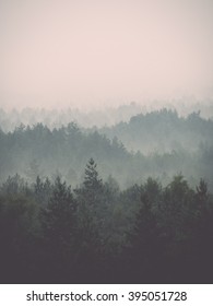 Panoramic View Of Misty Forest. Far Horizon - Vintage Film Effect