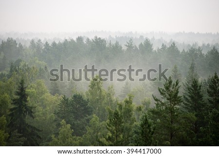 Similar – Image, Stock Photo Landscape in the morning