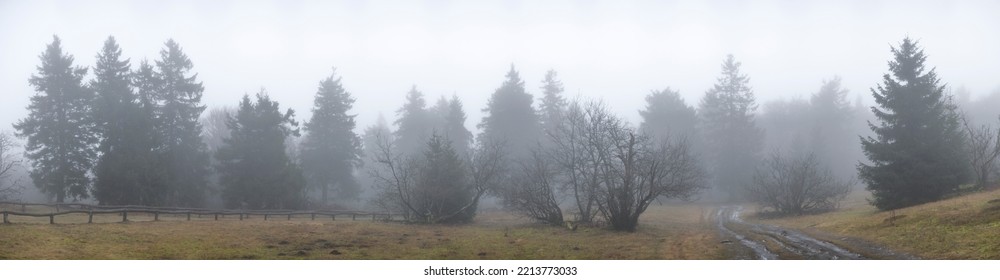 Panoramic View Of The Misty Frosty Tree Landscape On The Großer Feldberg, Taunus, Hesse, Germany