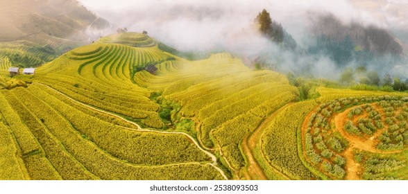 Panoramic view of Misty Morning Over Terraced Rice Fields in Mu Cang Chai, Vietnam’s Northern Highlands. - Powered by Shutterstock