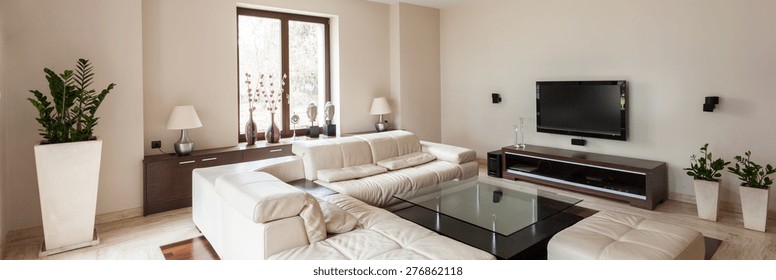 Panoramic view of modern and elegant living room interior