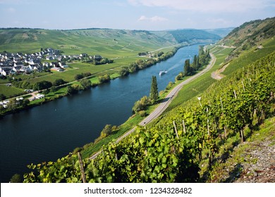 Panoramic view of Moselle Valley in Germany. Vineyards and river Mosel in Trittenheim in summer. - Shutterstock ID 1234328482