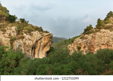 Panoramic View From Mount Carmel, Israel