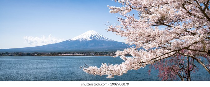 Panoramic View Of Mount Fuji With Cherry Blossom Tree, Lake Kawaguchiko, Japan