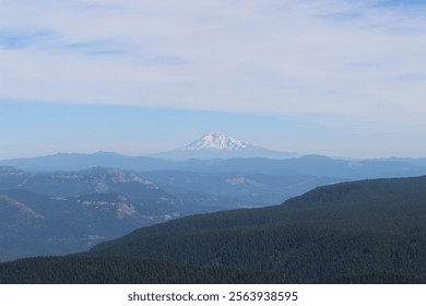 Panoramic View of Mountain Landscape with Evergreen Forest and Clear Blue Sky - Powered by Shutterstock