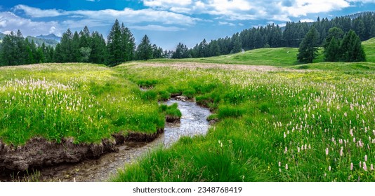 Panoramic view of mountain pasture with small stream in the mountains. Green meadow and wildflowers in summer. Alpine landscape. Valtournenche. Cervinia. Italian Alps. Alps Italy. Aosta Valley. Torgno - Powered by Shutterstock